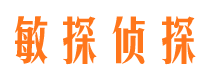 理塘市侦探公司